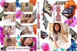 花と蝶 576 美智子45歳
