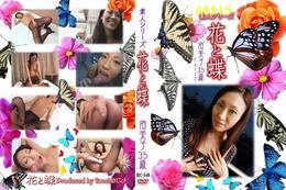 花と蝶 548 須美子35歳